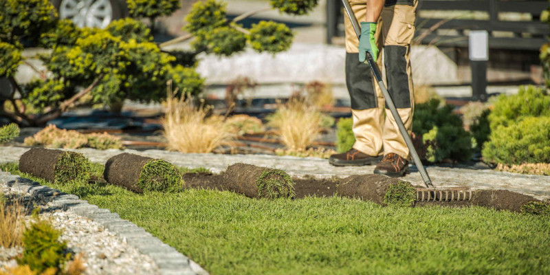 Landscaping Companies in Palm Coast, Florida