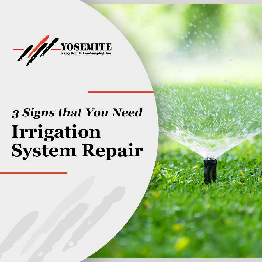   3 Signs that You Need Irrigation System Repair