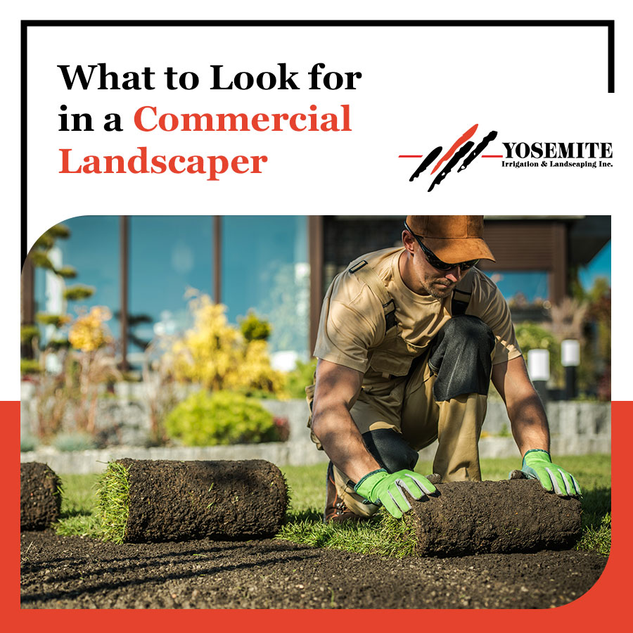 What to Look for in a Commercial Landscaper