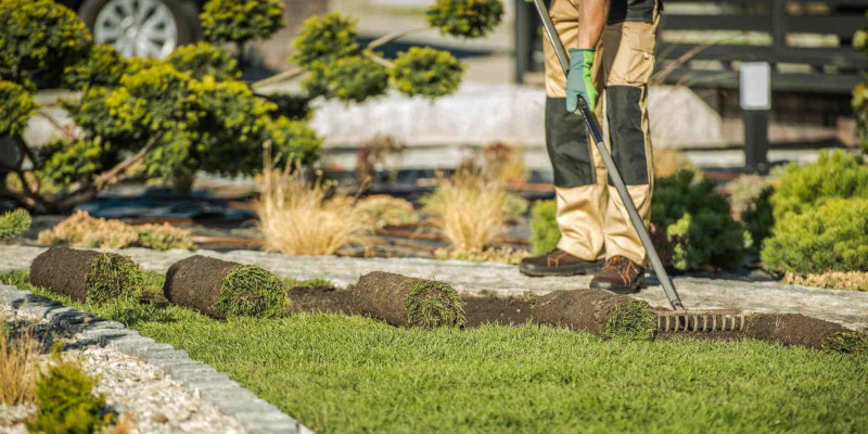 Landscaping Companies in Jacksonville, Florida