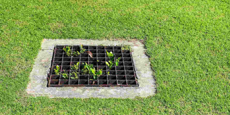 Lawn Drainage in St. Augustine, Florida