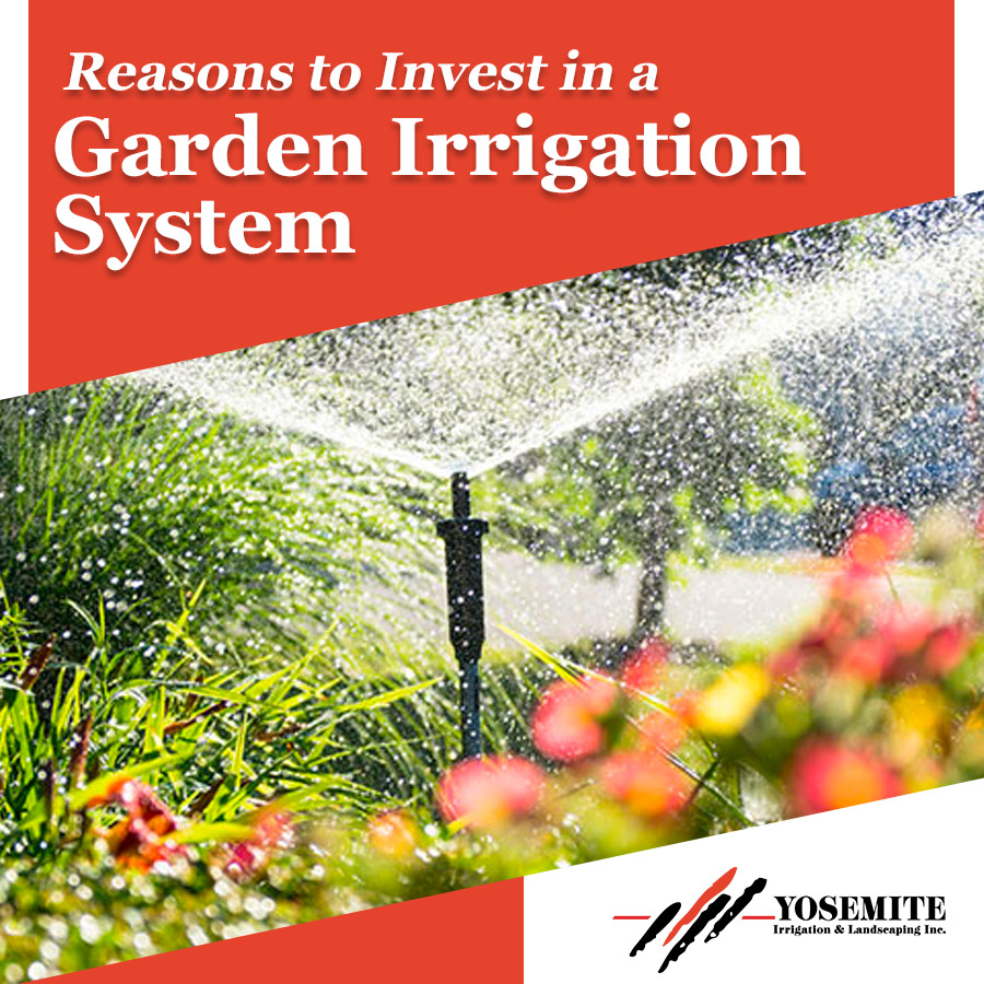 Reasons to Invest in a Garden Irrigation System