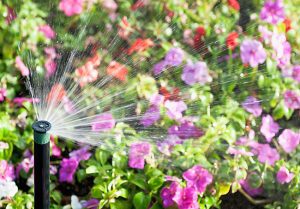 Key Reasons to Install a Garden Irrigation System