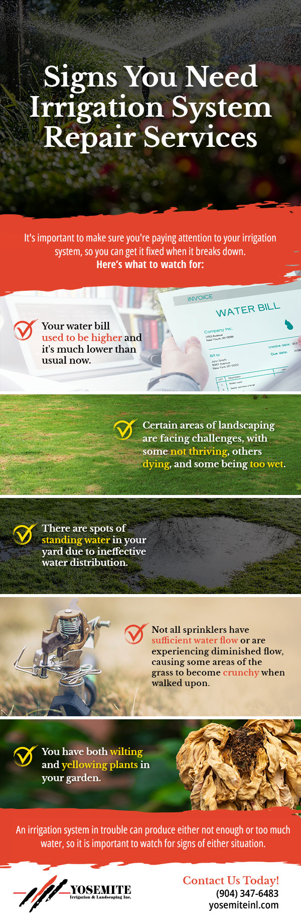 Signs You Need Irrigation System Repair Services