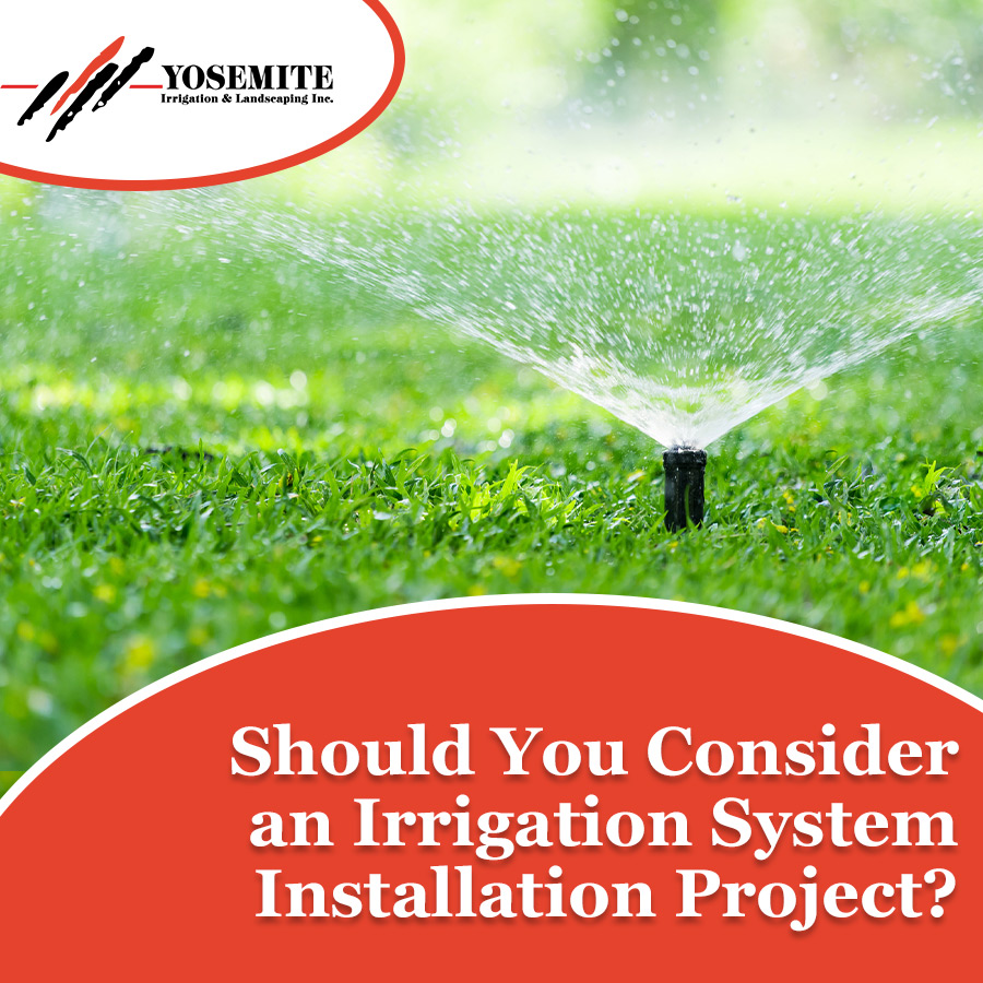 Should You Consider an Irrigation System Installation Project?