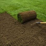 Landscaping Services in Palm Coast, Florida