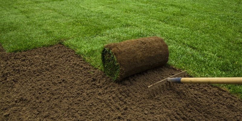 Sod Installation Services in St. Johns, Florida