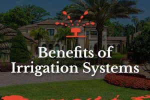 Benefits of Irrigation Systems