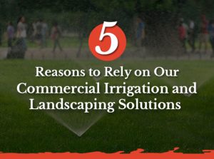 5 Reasons to Rely on Our Commercial Irrigation and Landscaping Solutions