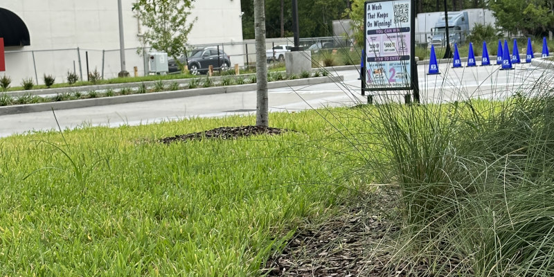 Commercial Landscape Contractor in Nocatee, Florida