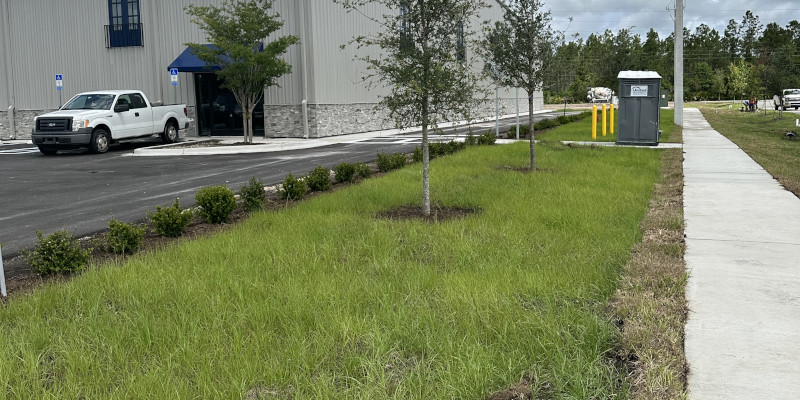 Landscape Construction in Jacksonville, Florida
